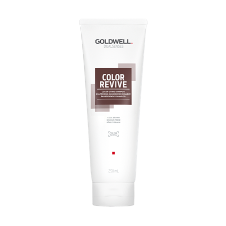 Goldwell Dualsenses Color Revive Farbgebendes Shampoo kühles braun 250ml